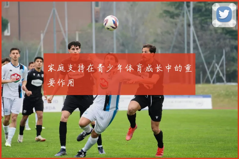 家庭支持在青少年体育成长中的重要作用