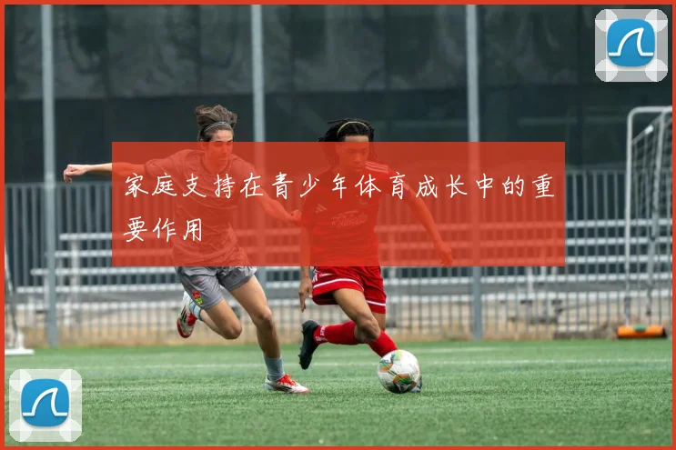 家庭支持在青少年体育成长中的重要作用